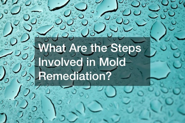 What Are the Steps Involved in Mold Remediation?