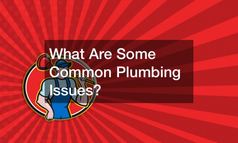 What Are Some Common Plumbing Issues?