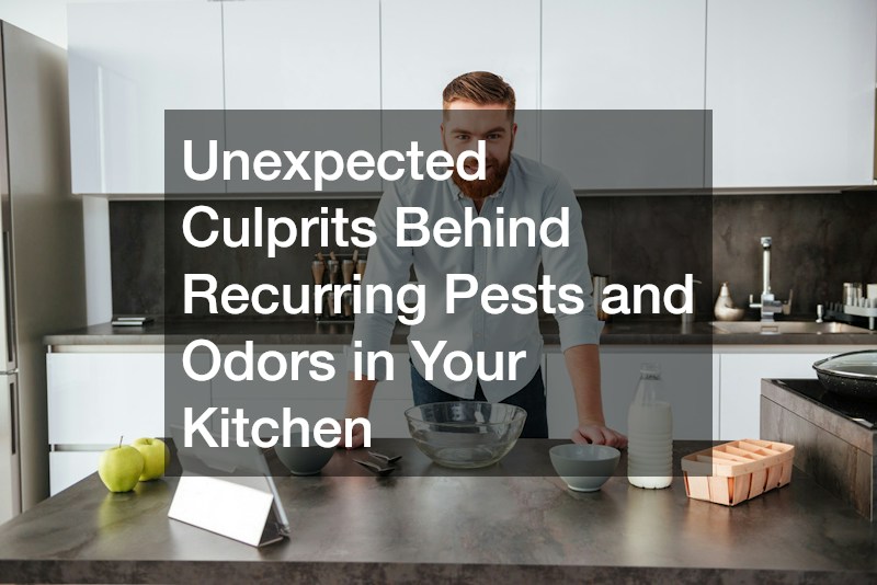 Unexpected Culprits Behind Recurring Pests and Odors in Your Kitchen